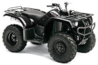 Yamaha - YFM 350 AN