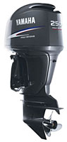 Yamaha - F250 BETX